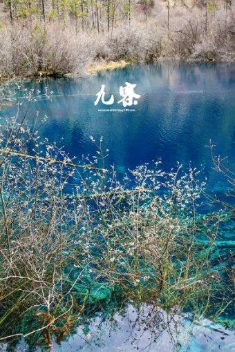 易币付链接游戏画面