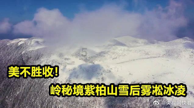 针织裙