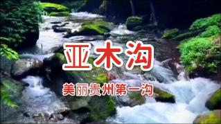 迷失在荒野