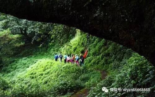 去山东旅游带些什么特产回来?