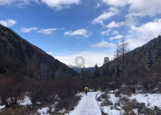 除虫大师