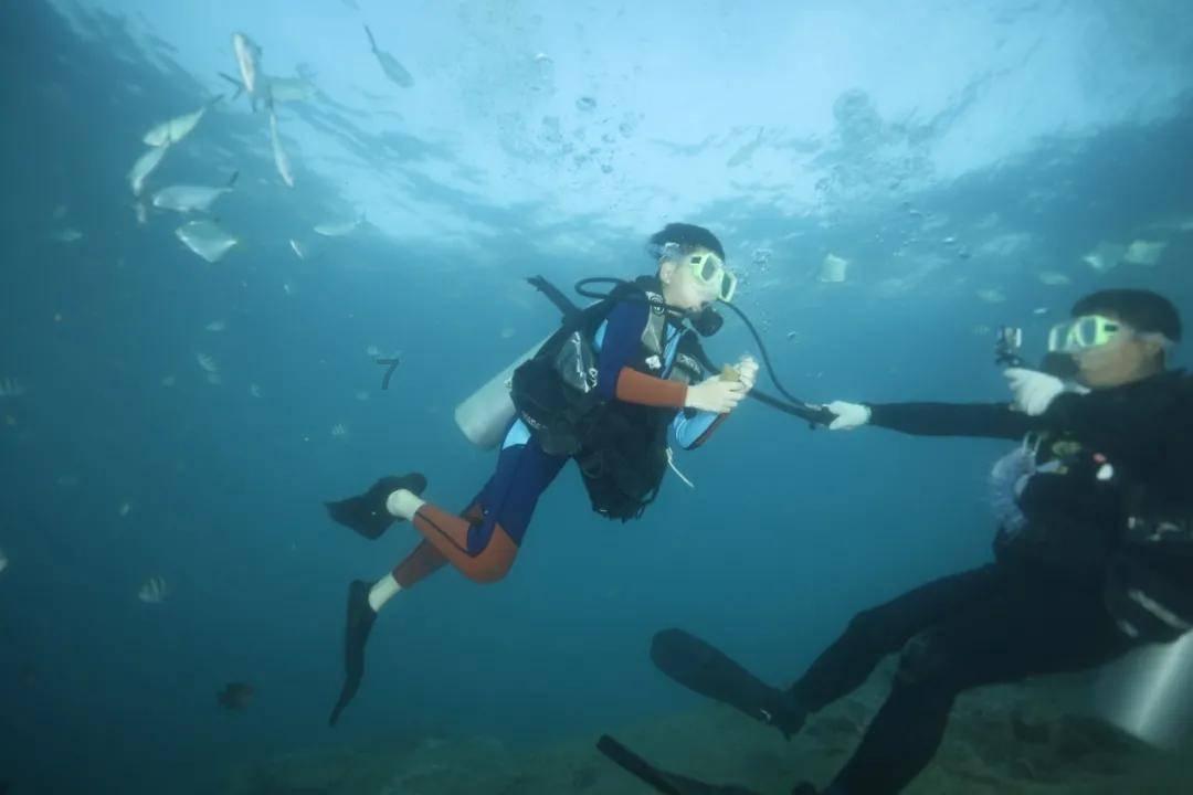 造物法则