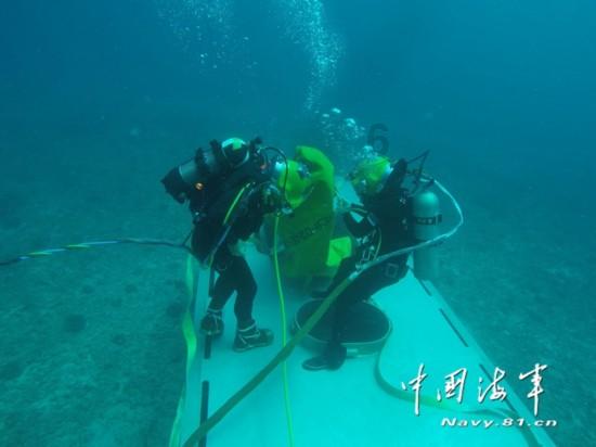 银河中动物逃生