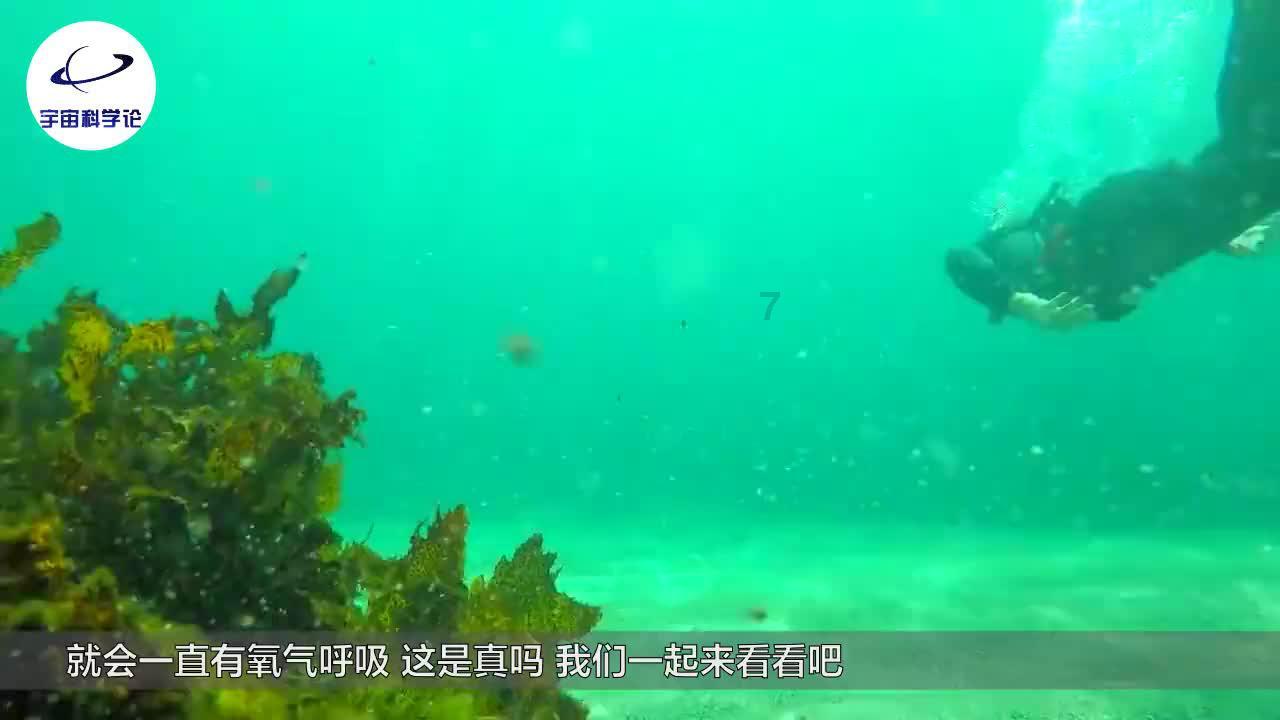 超级坦克消灭僵尸
