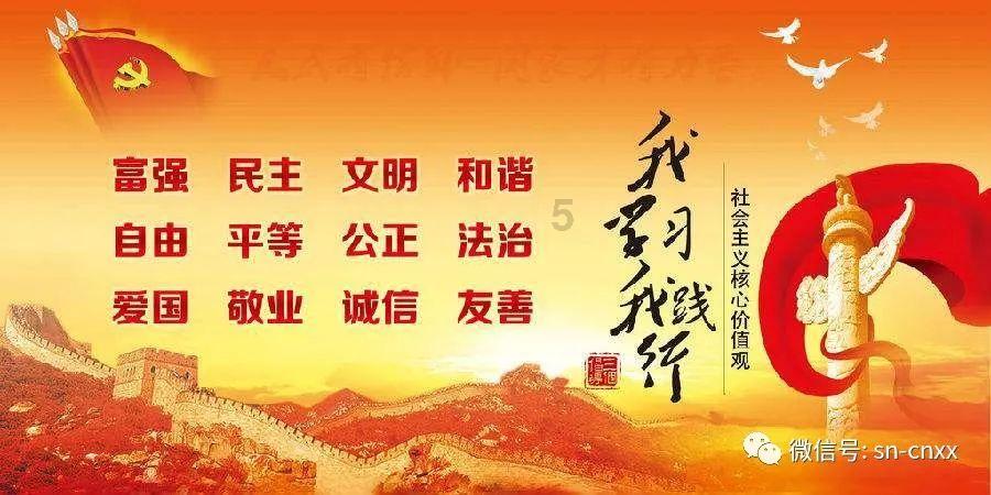 植物大战僵尸11