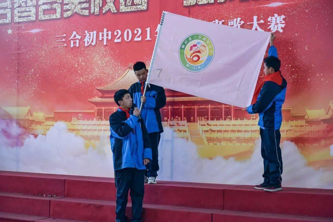 植物大战僵尸16
