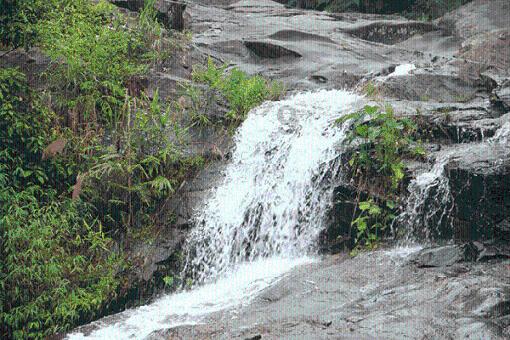 来骆岗赶大集