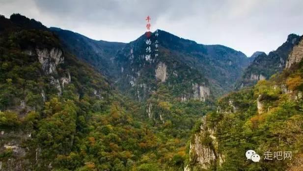 周末补觉真的可以还每天的“熬夜债”了吗？游戏画面