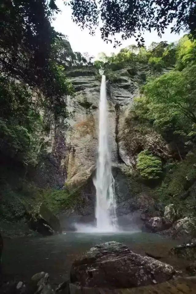 88影视