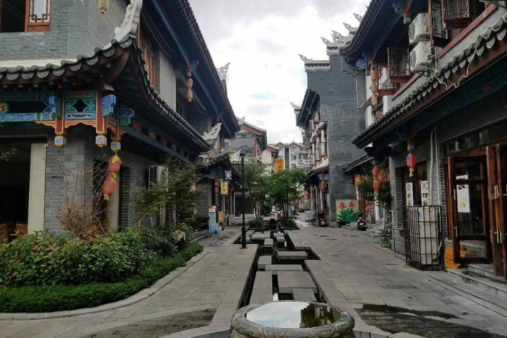 逃离梦想花园