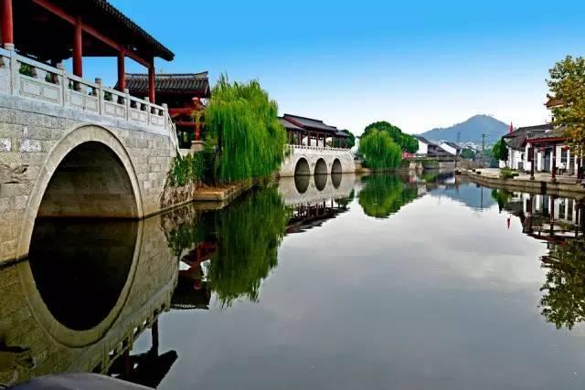 小僵尸射飞鸟
