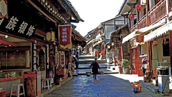全市首例涉危害国家重点保护植物“金毛狗蕨”案宣判！