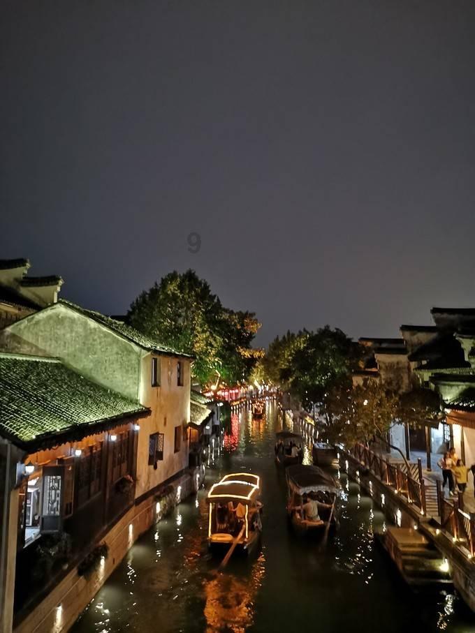 救援小袋熊