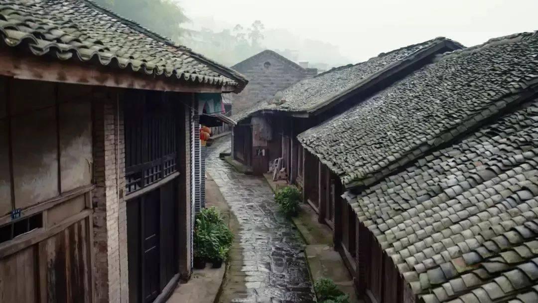 虫虫助手下载