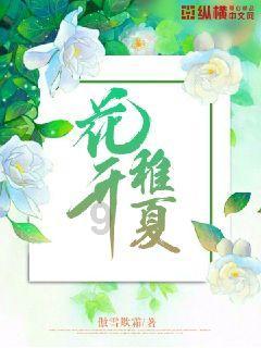 创作猫