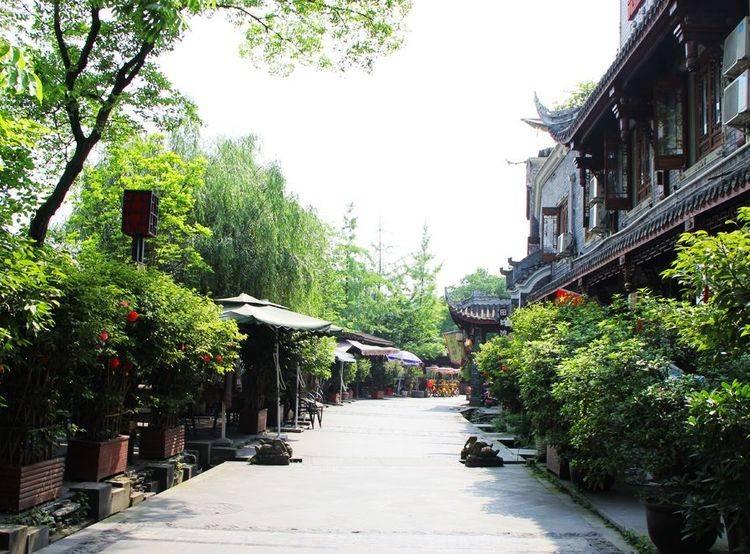 基督教是如何分裂的？天主教和基督新教之间又有什么区别？